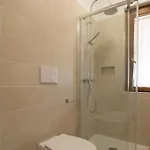 Solidea